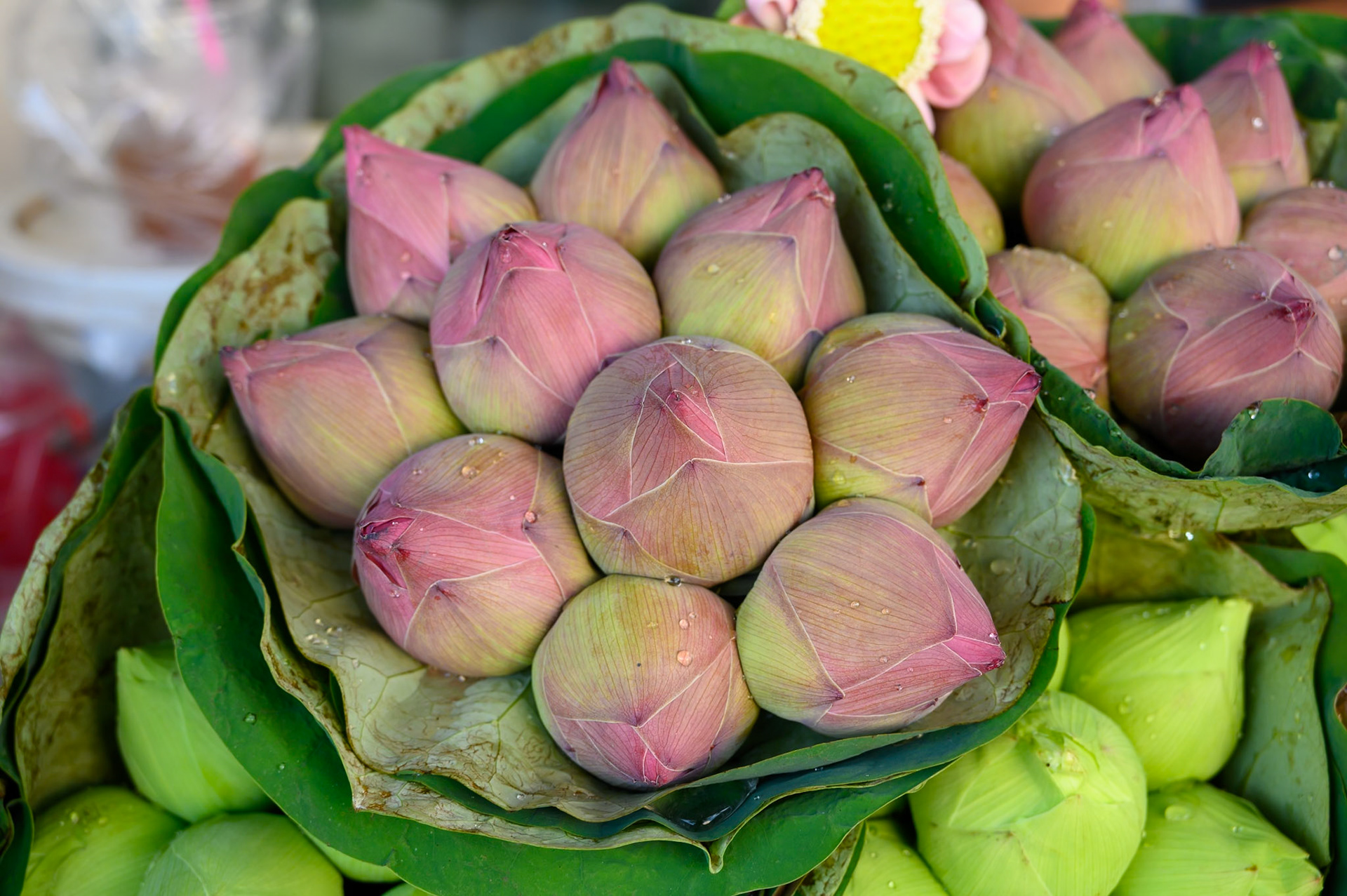 Bangkok - Marché aux fleurs Pak Khlong Talat