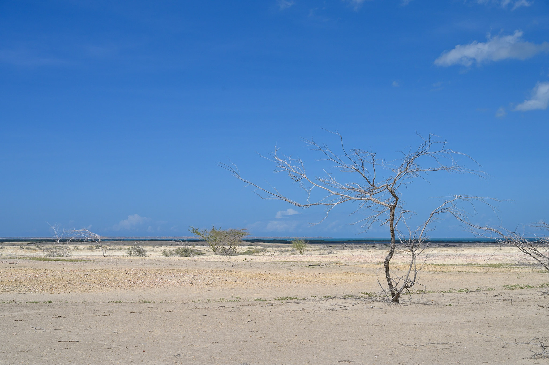 La Guajira