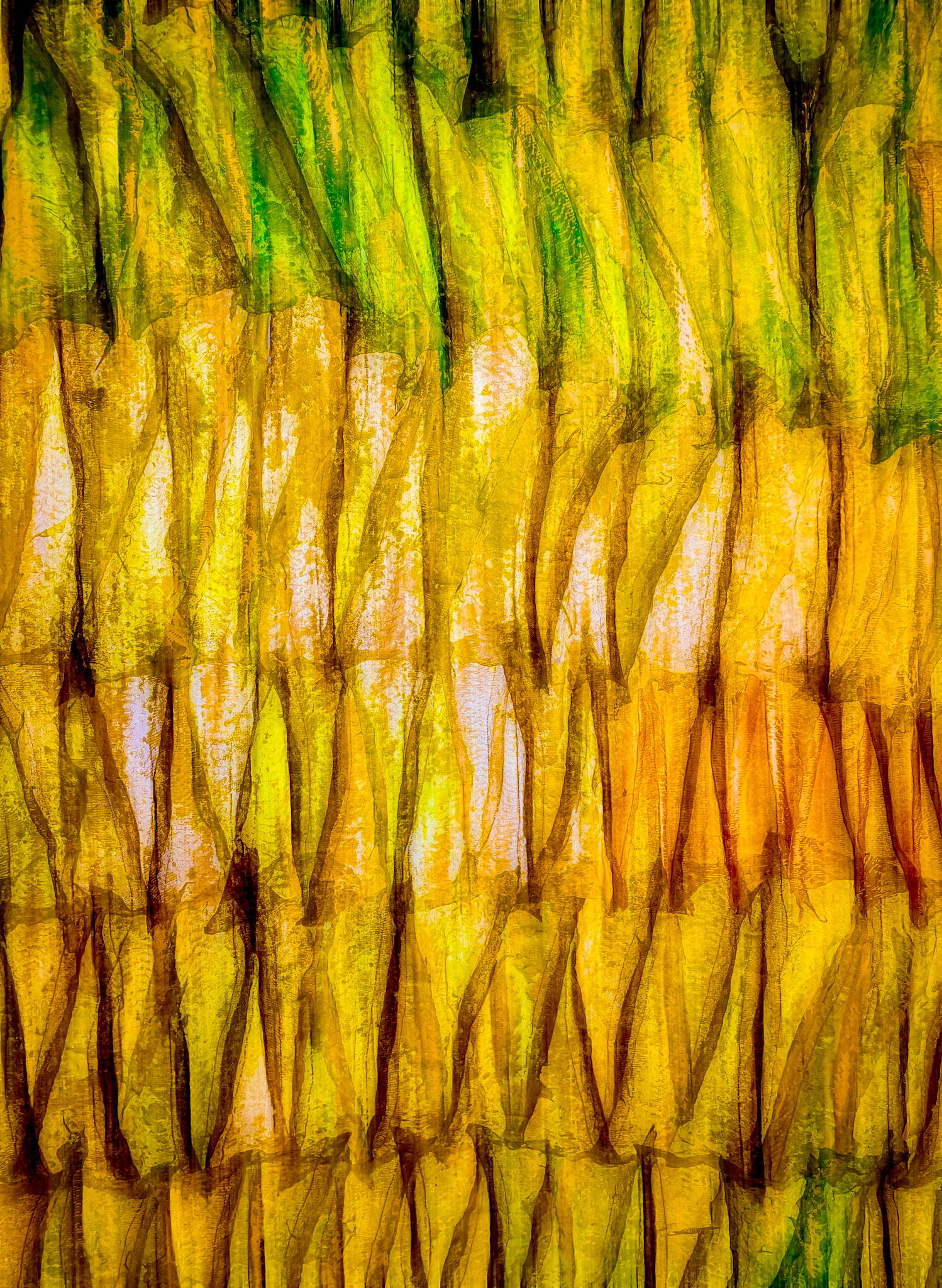 Fish Skins