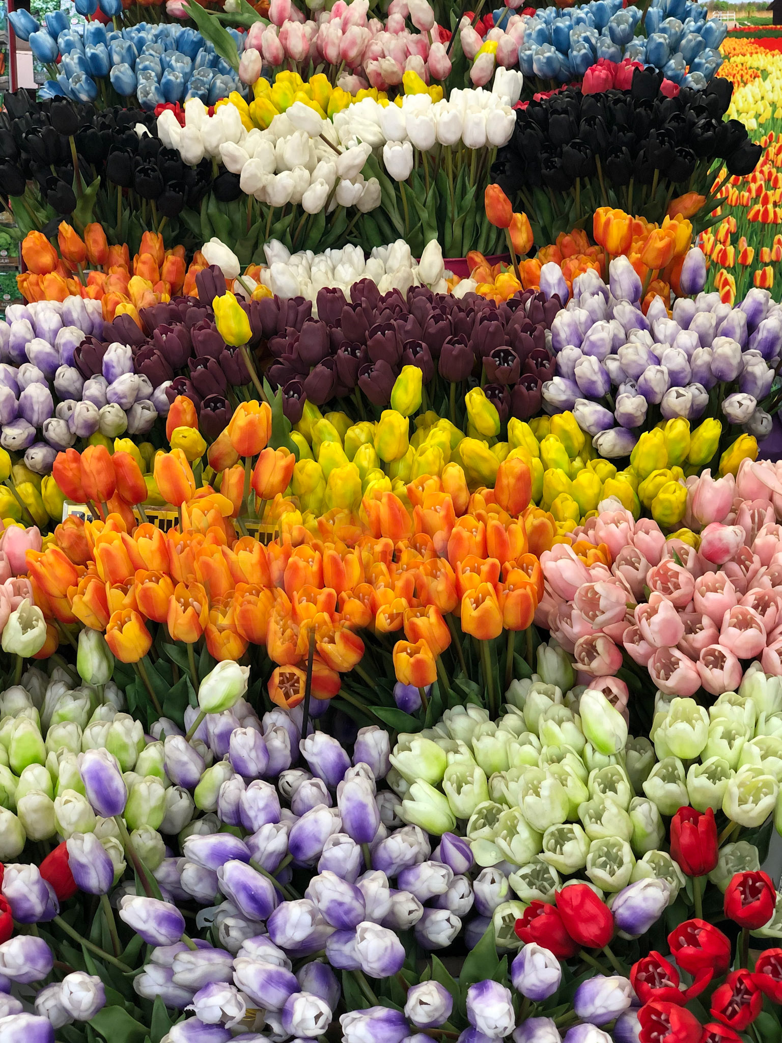 Flower Market