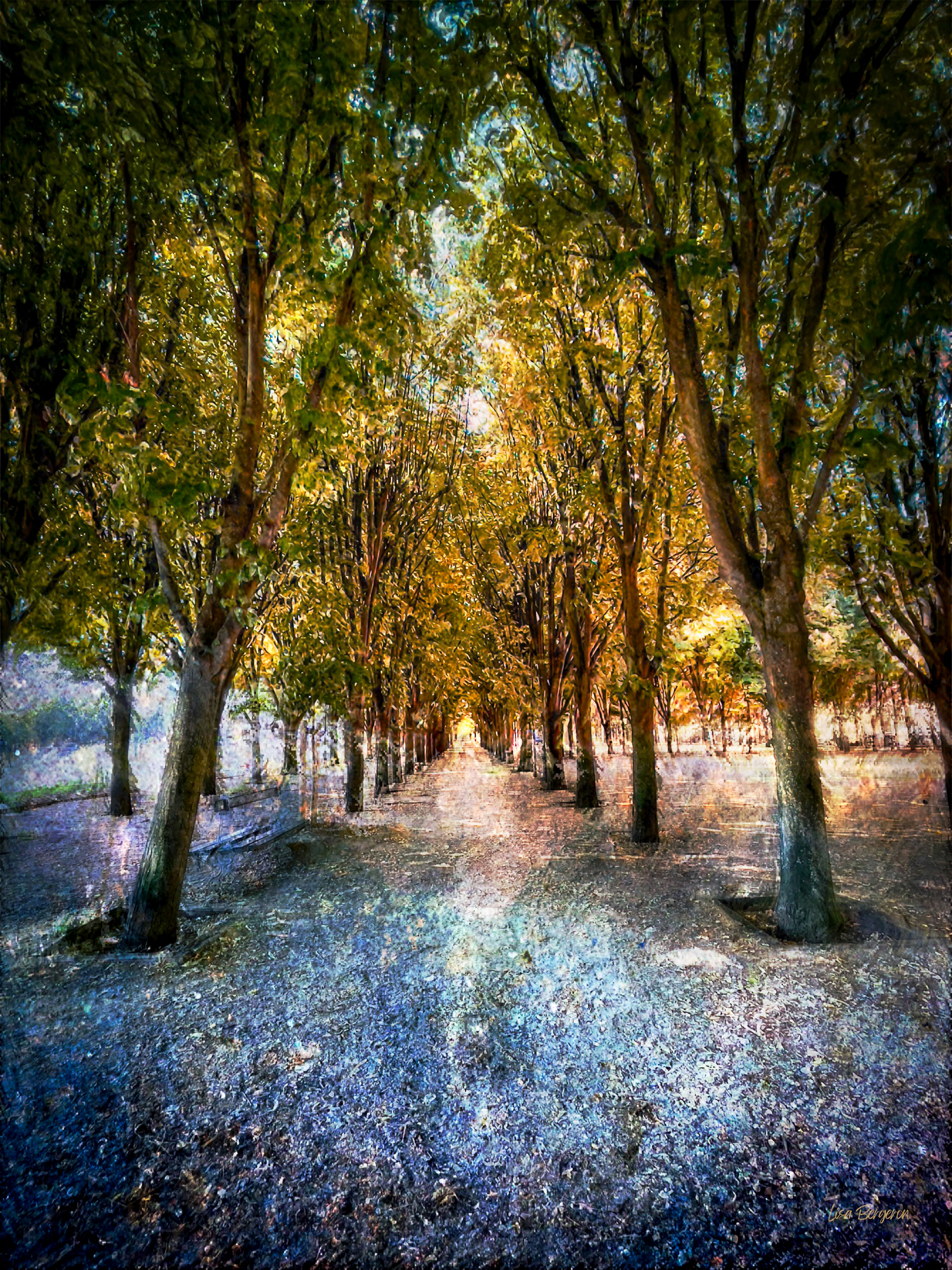 Lights Under the Trees