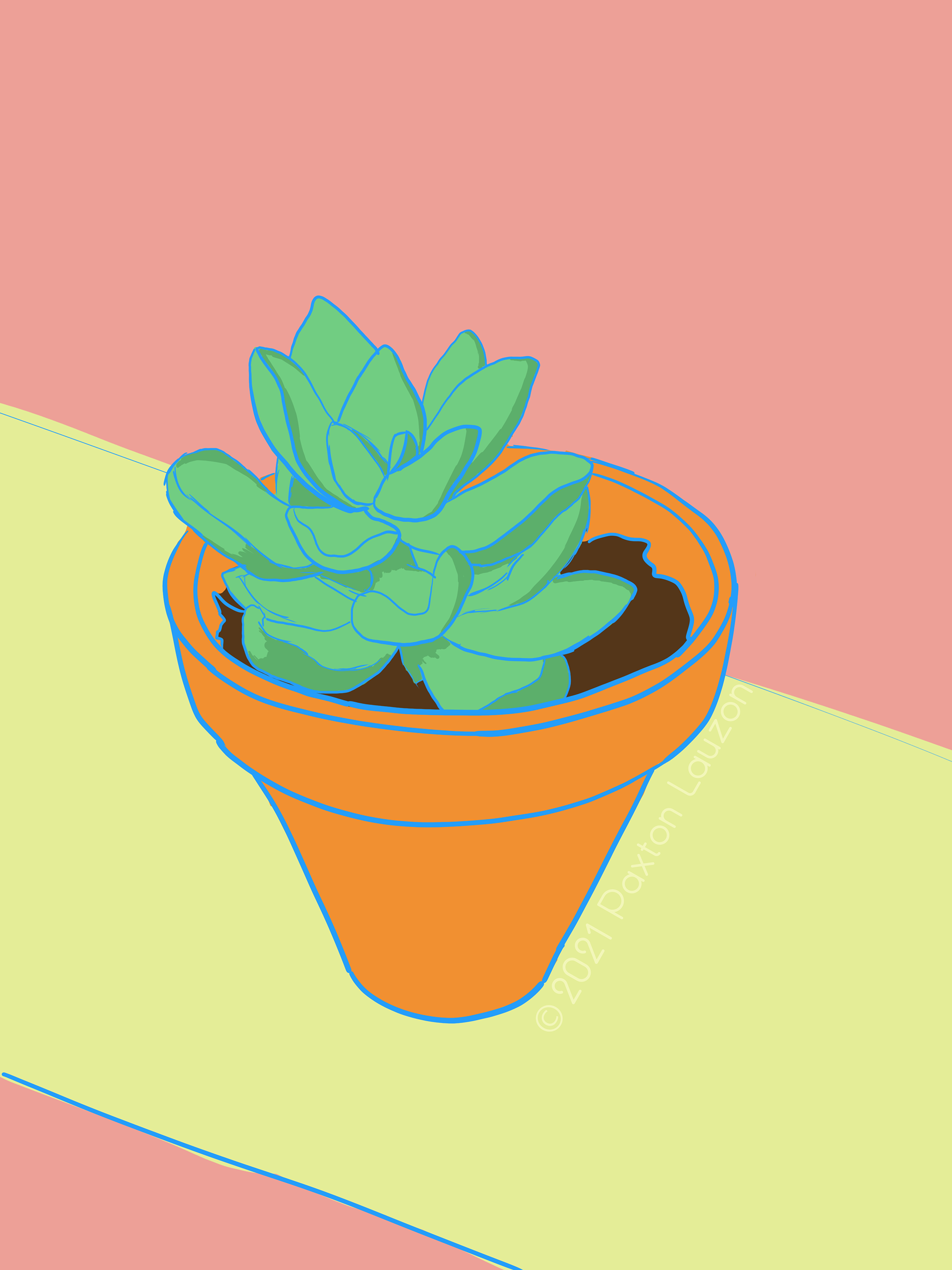 Rotoscoped Image of a Succulent (April/May 2021)