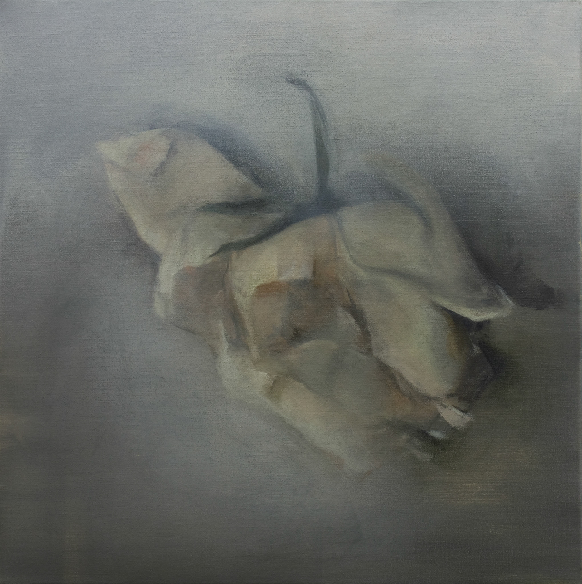 Weisse Rose (80x80)