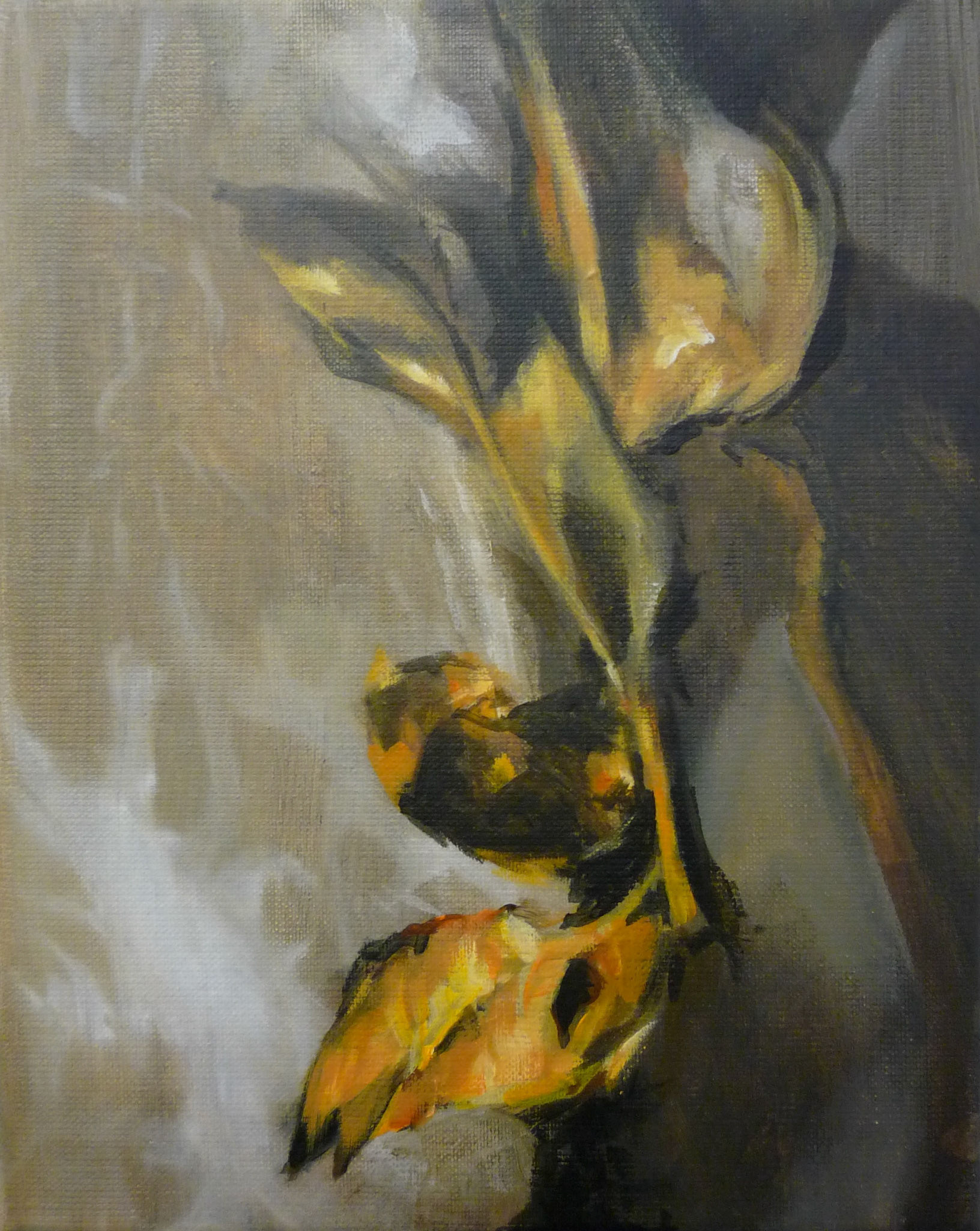 Filmbildes 02 (30x24)