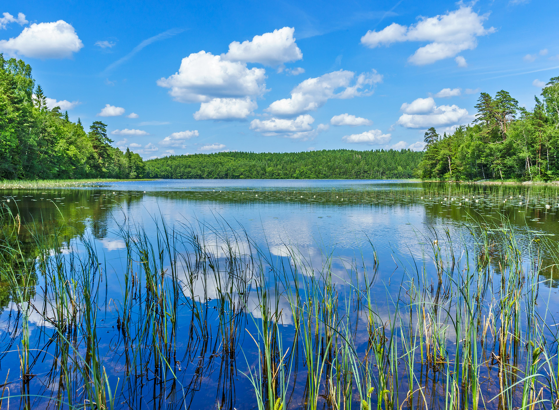 Härskogen, Sweden