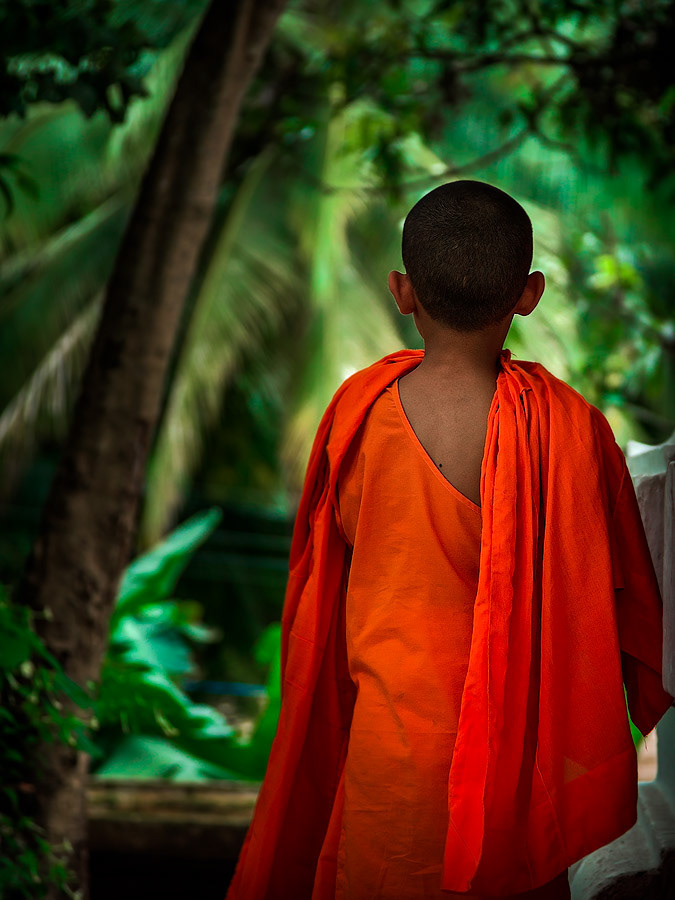 Young monk. Luang Prabang, Laos.