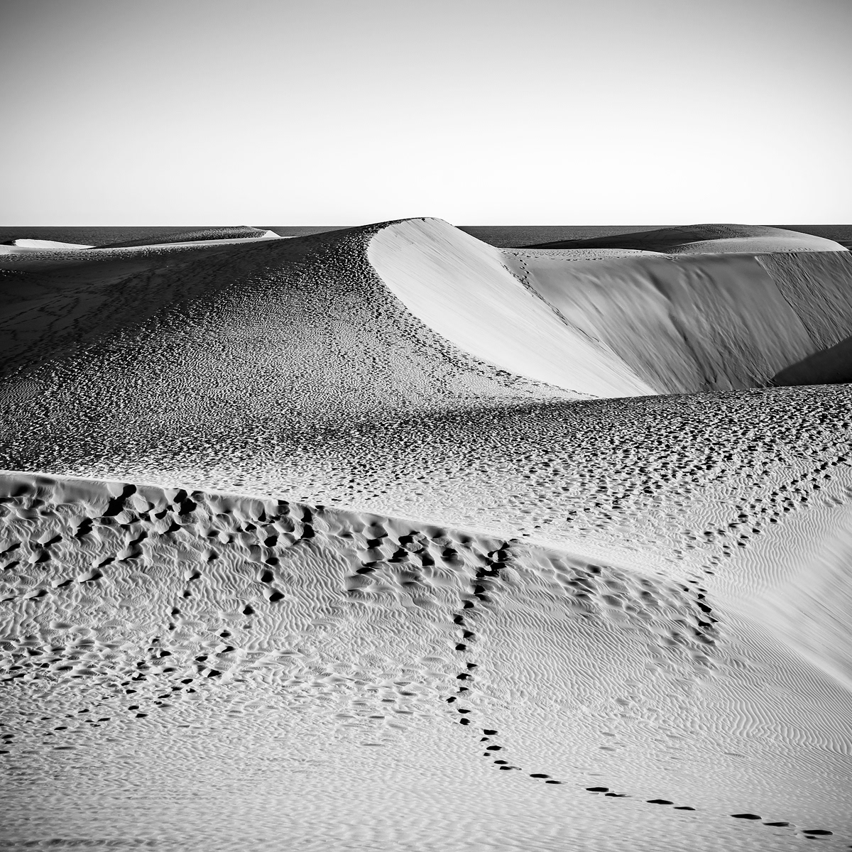Las Dunas de Maspalomas, Gran Canaria