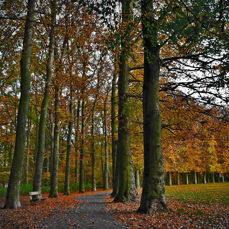 Pildammsparken, Malmö