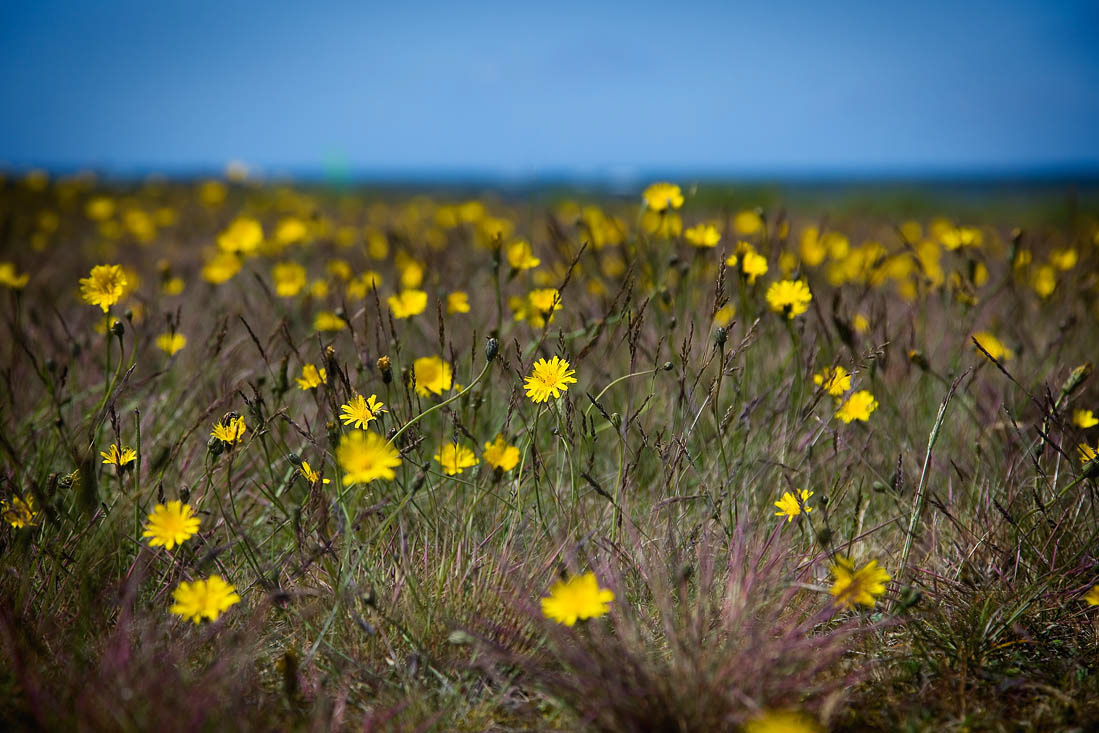 Skanör, Sweden