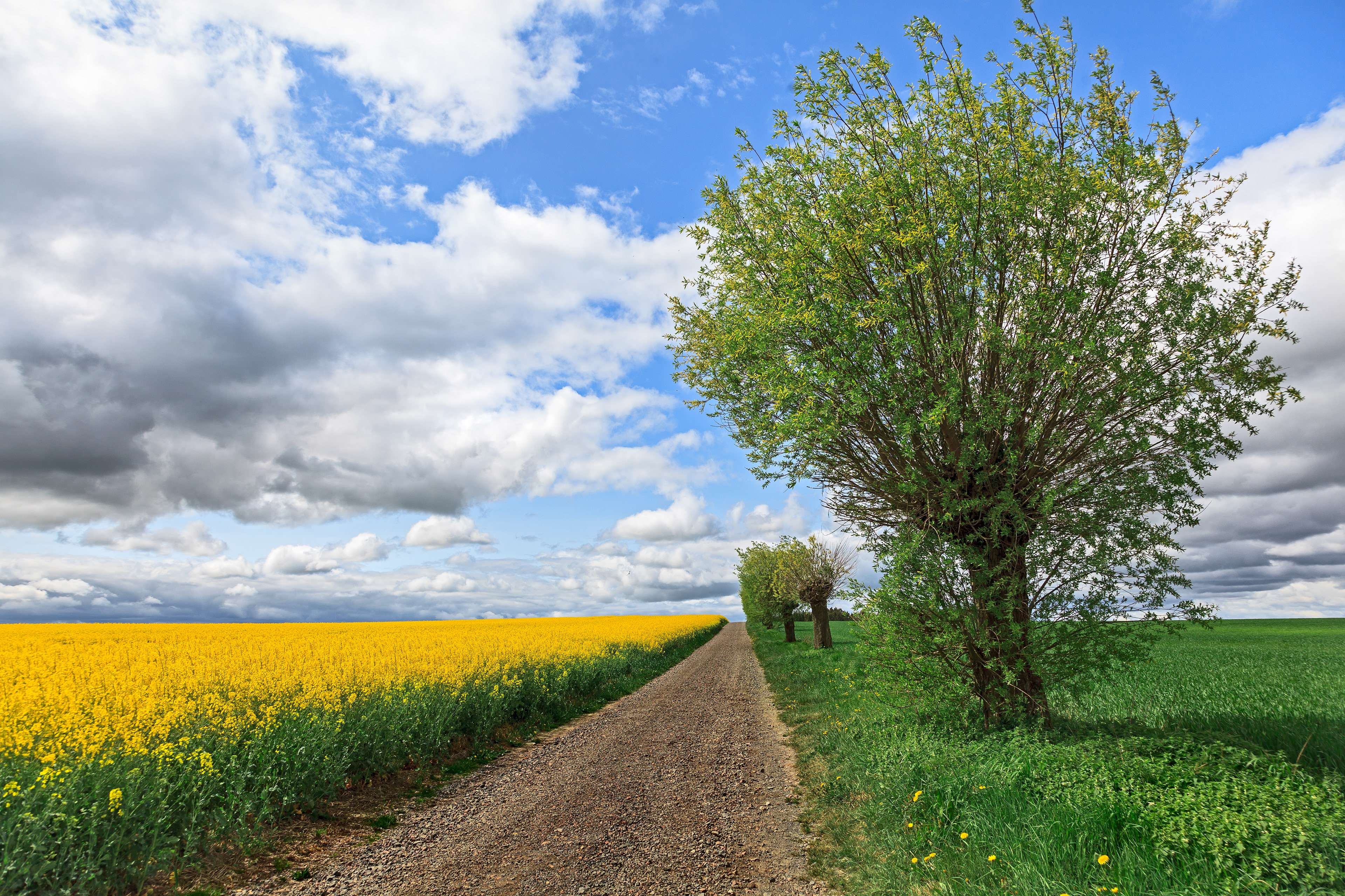 Skåne, Sweden