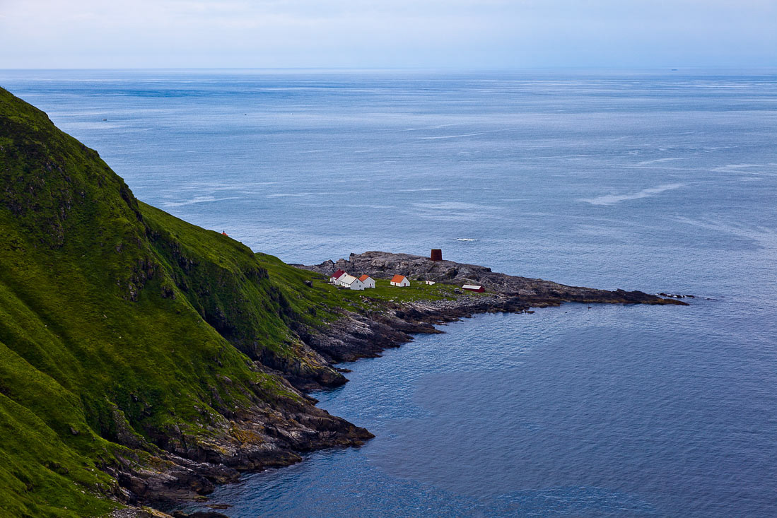 Bird island Runde outside Ålesund, Norway.