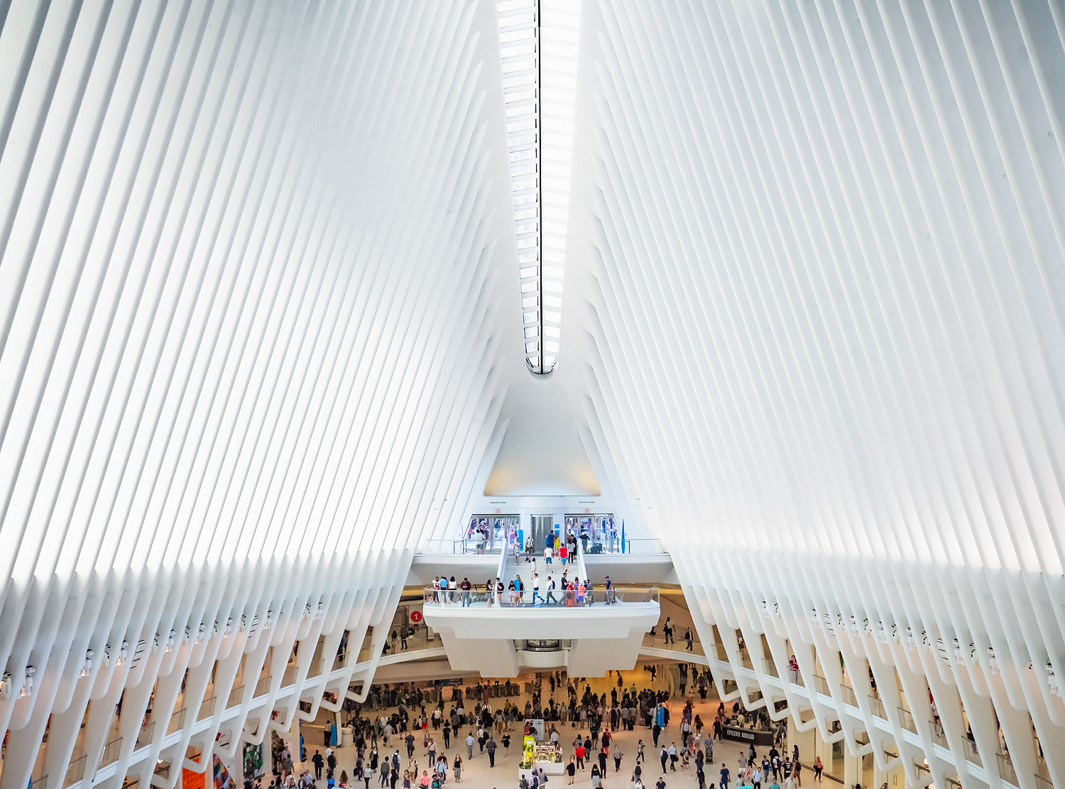 The Oculus, Manhattan