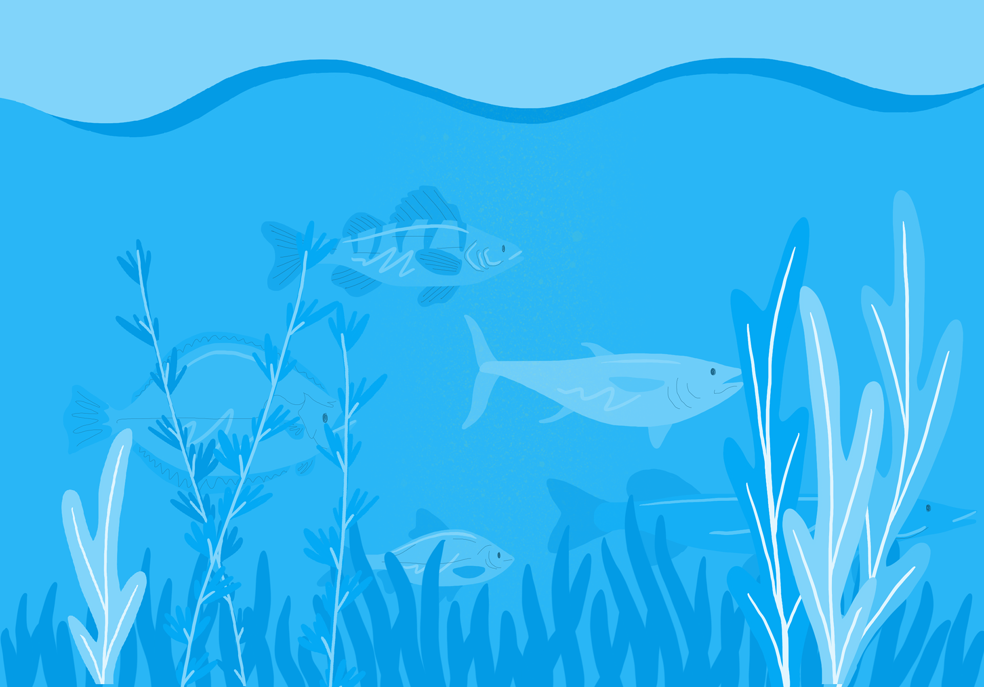 Underwater fish