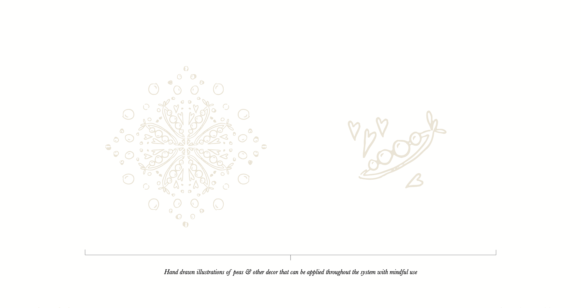 Hand Drawn Illustrations
