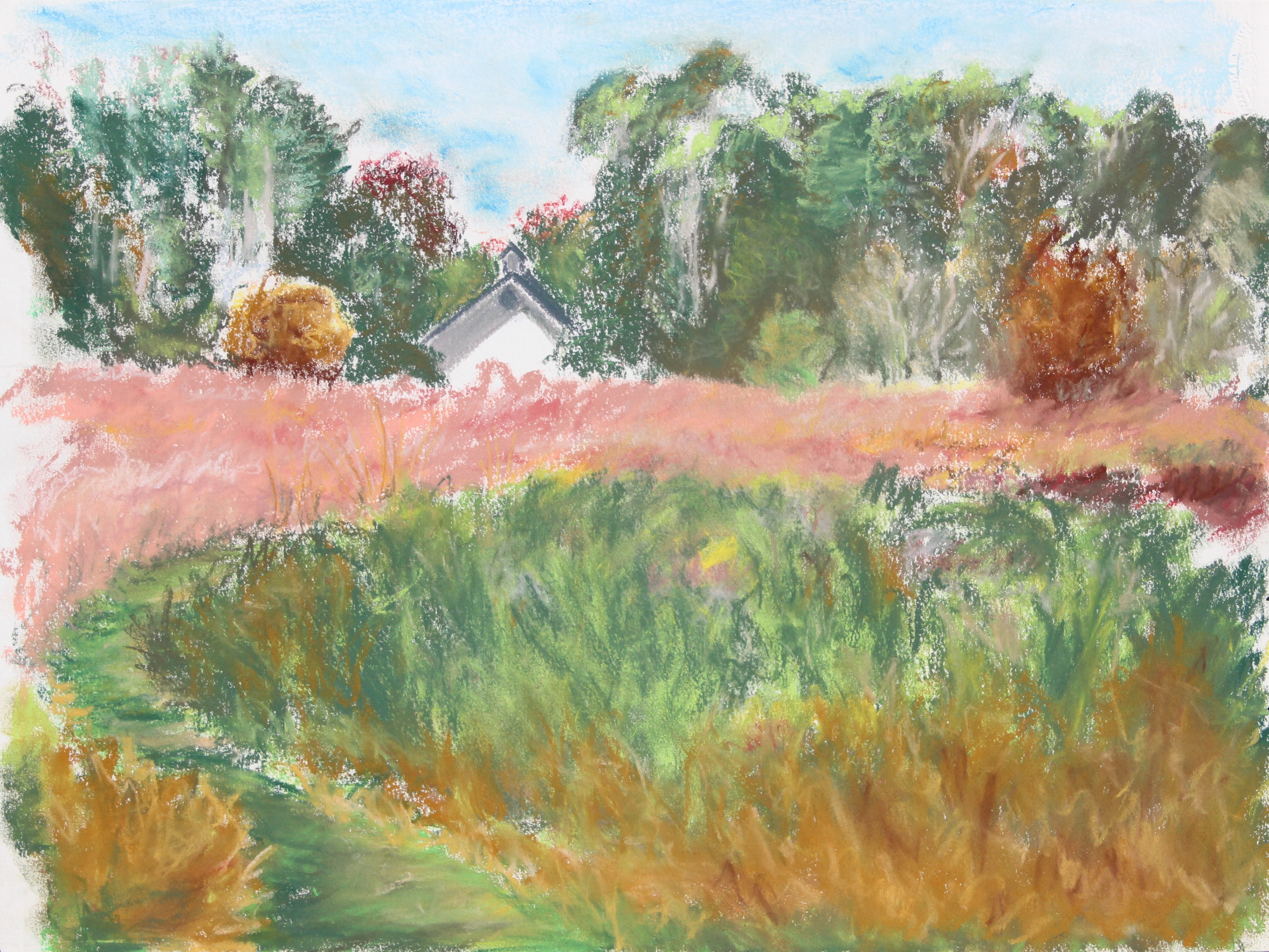 Pound Ridge Preserve