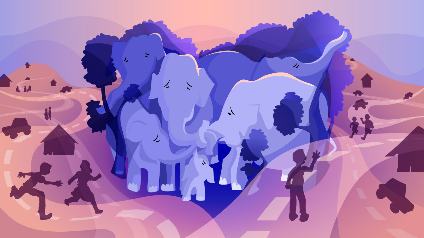 Endangered Elephants