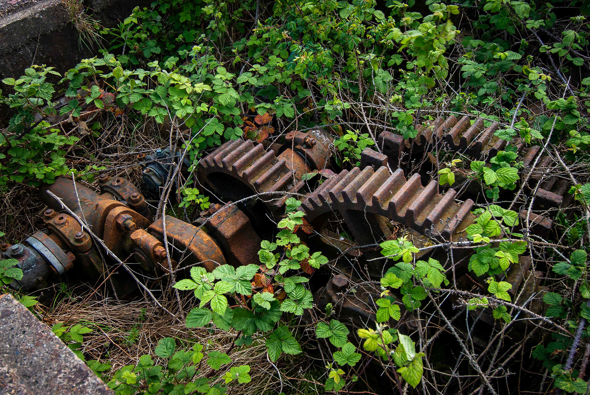 Ref: nh_20070512_2199. This is what remains of St Andrews Dock, Hull, home of the once mighty deep-sea fishing fleet. The dock was filled in the mid 1980’s, although the area seen in the photograph was originally planned to be a marina. The dock wall and lock gate capstans are still clearly visible. Gears used to work the lock pit machinery are now overgrown. Pictured: May 12, 2007
