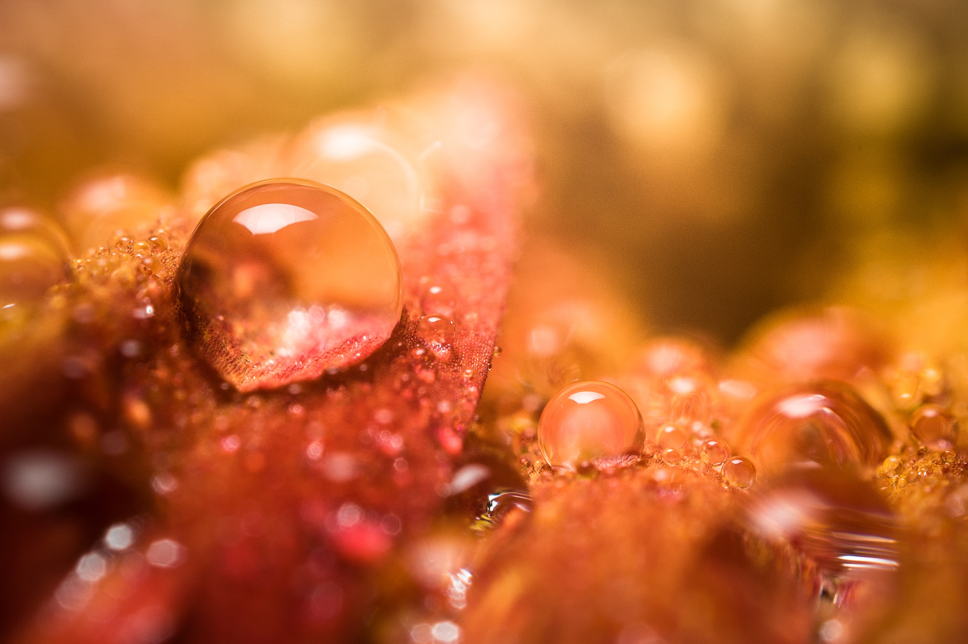 Reversed 50mm Test