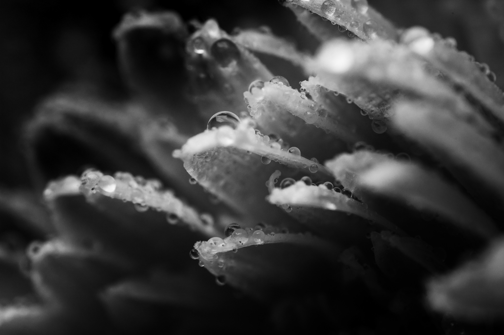 Reversed 50mm Test