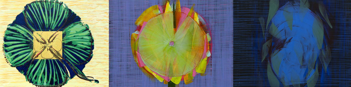 WORK ON PAPER COLLECTION BY HERMANN LEDERLE