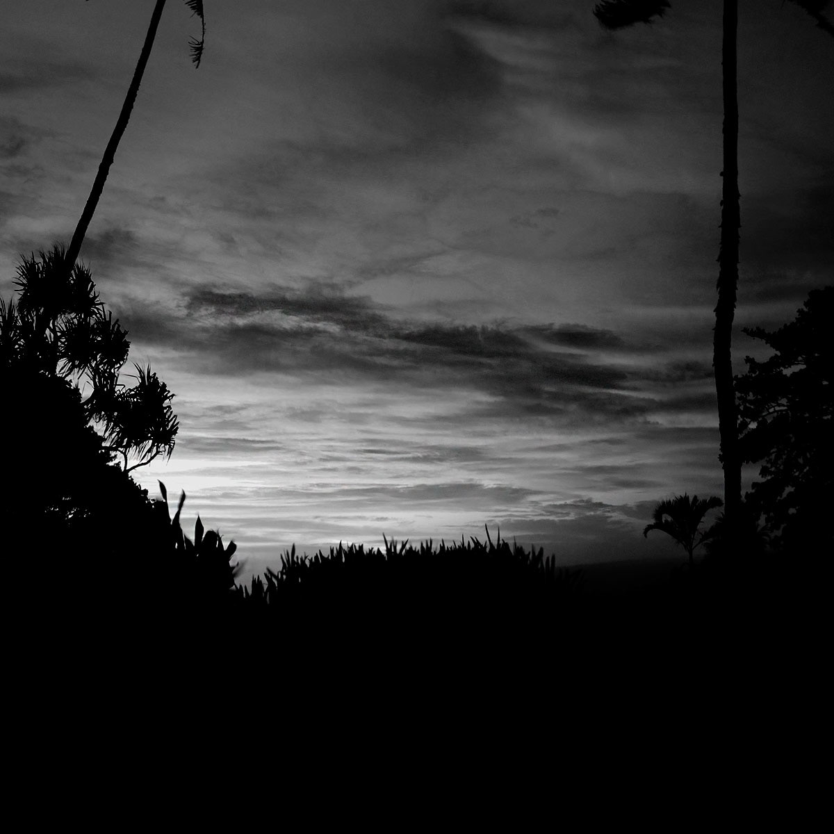 AQUA FIJI,HERMANN LEDERLE,PHOTOGRAPHY 16