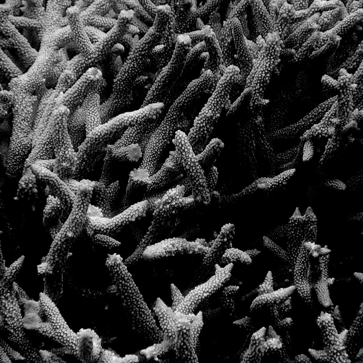 AQUA FIJI,HERMANN LEDERLE,PHOTOGRAPHY 11