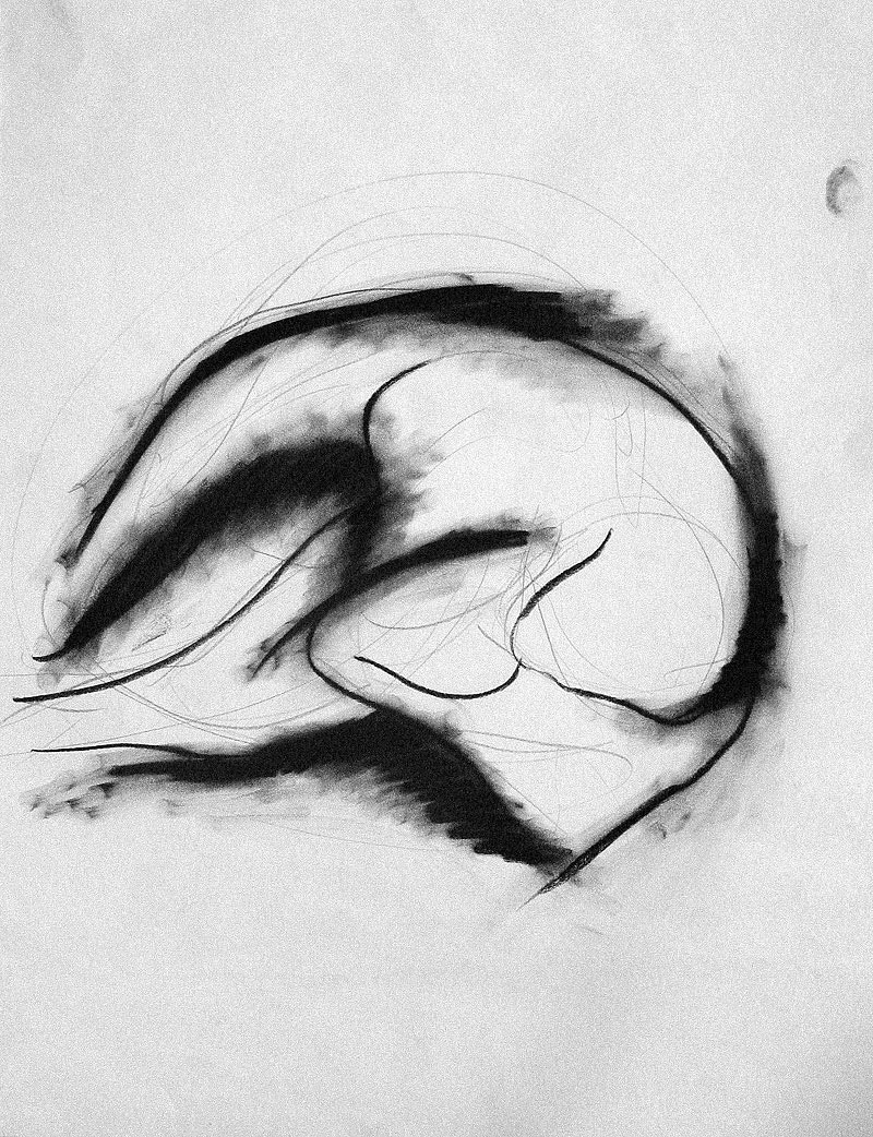 NO.1 charcoal and pastel on paper, 24 by 18 inches, 2002,HERMANN LEDERLE