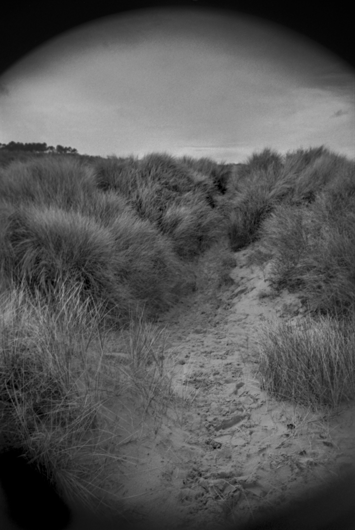 Commune Criqueville-en-Bessin, département du Calvados, Normandie, France, film Delta 400, 2003
