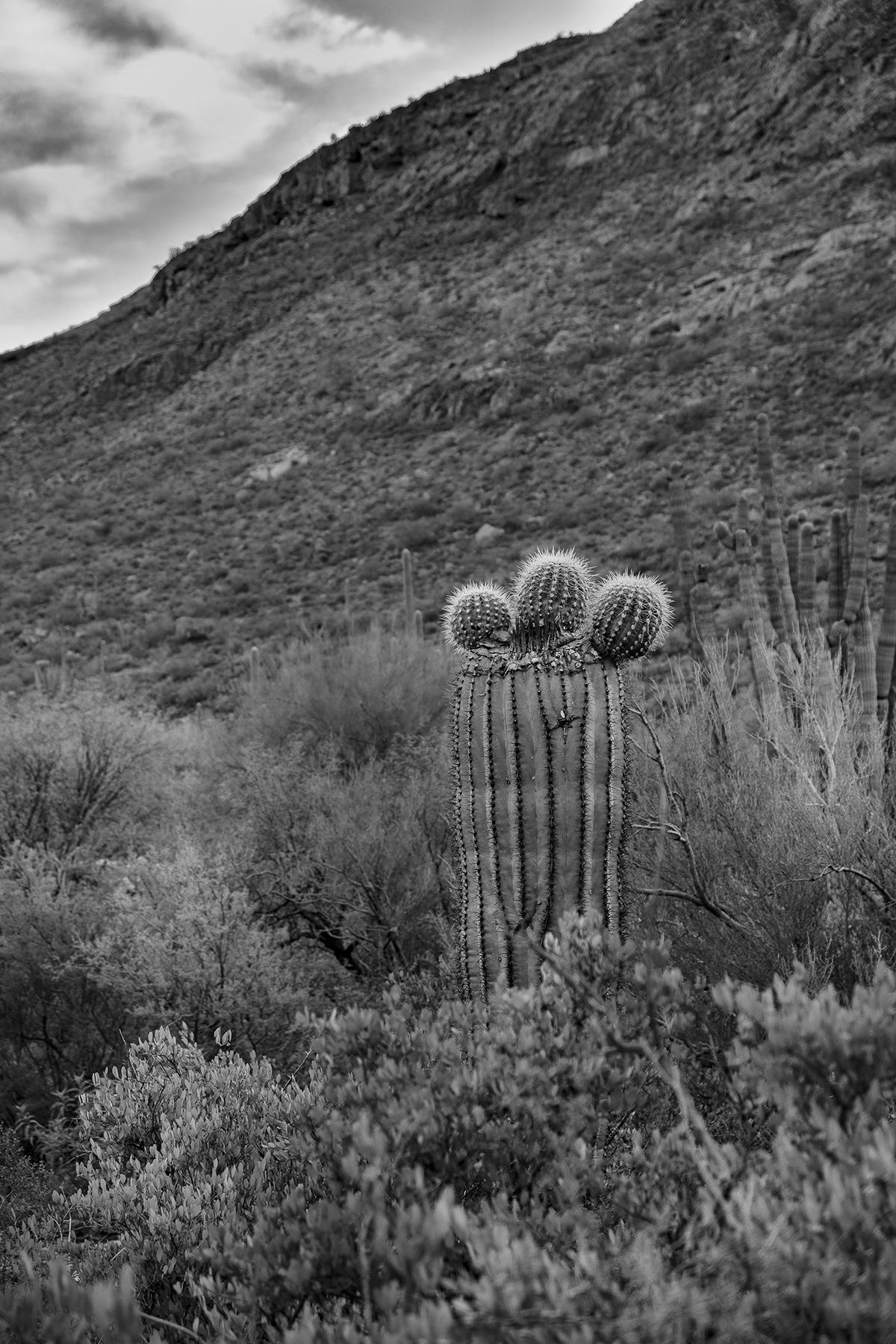 Tonto National Monument, Arizona, États-Unis, 2020