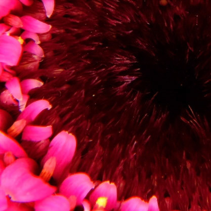 Playing with a +10 diopter