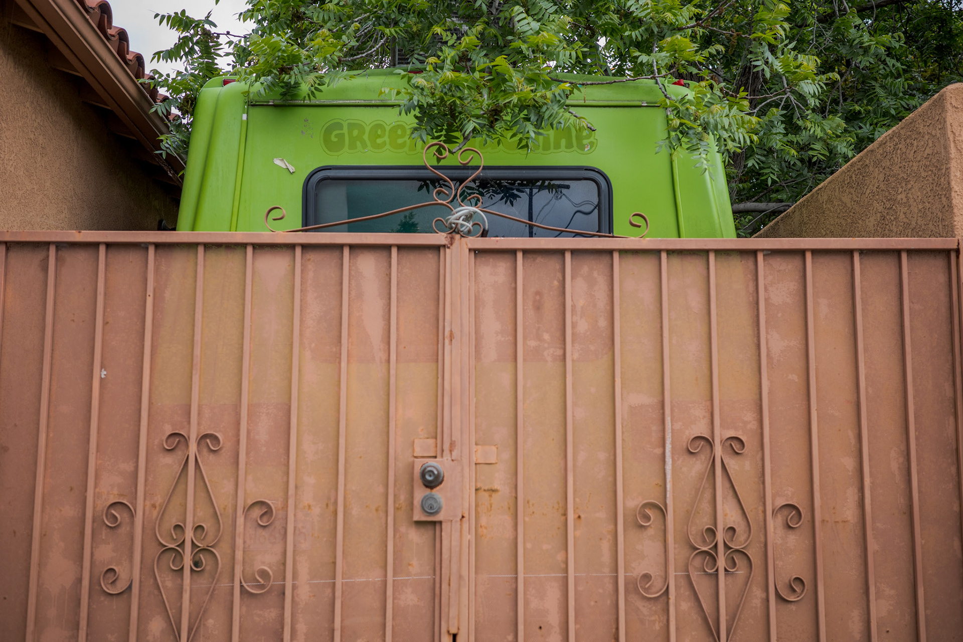 Tan In Front Of Green