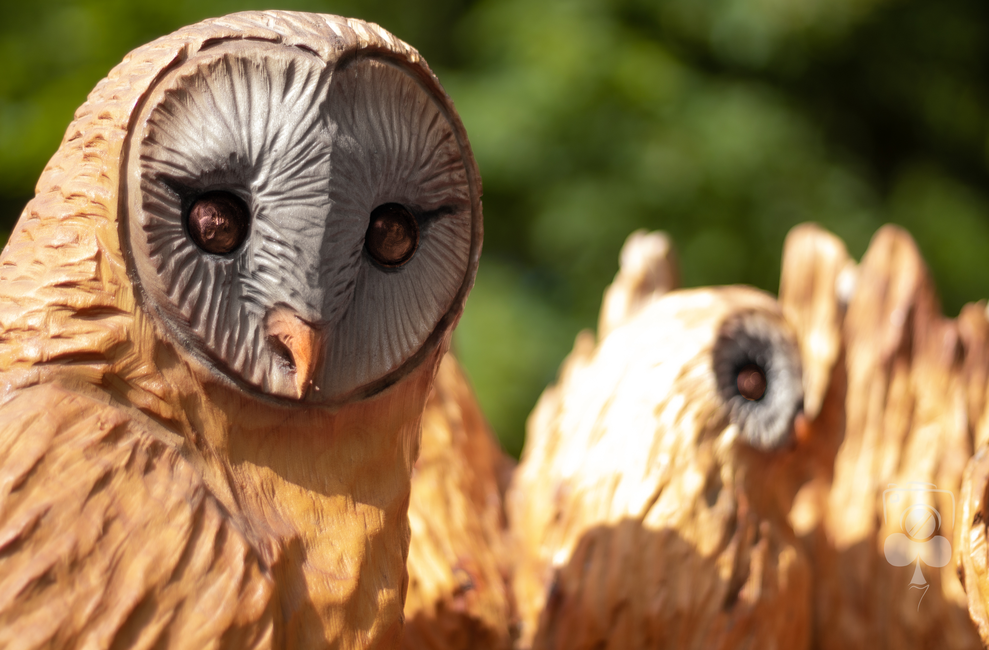 Wooden Owls