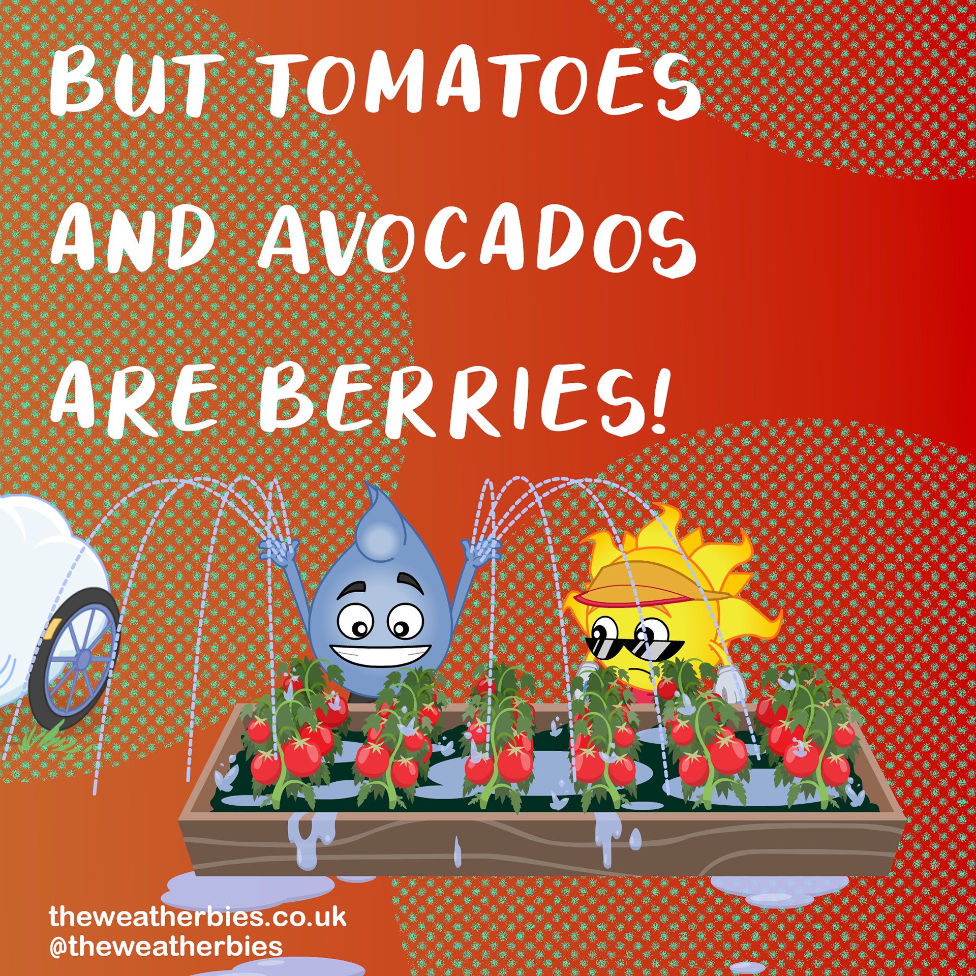 The Weatherbies Instagram Carousel Fruit & Veg 4