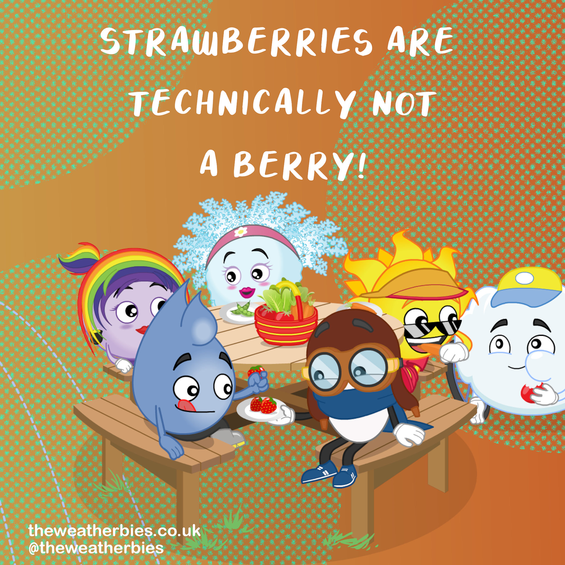 The Weatherbies Instagram Carousel Fruit & Veg 3