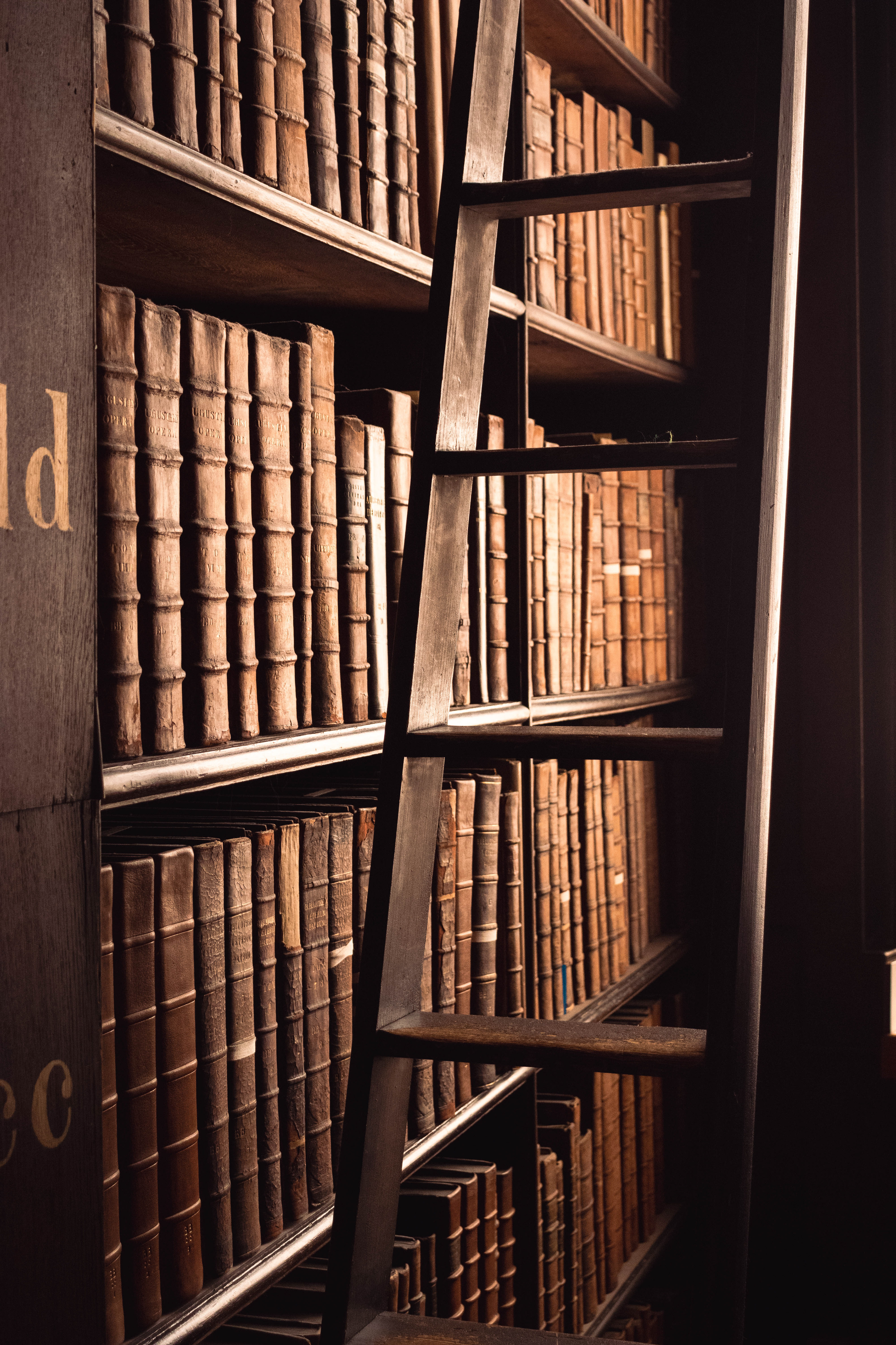 Library Shelf