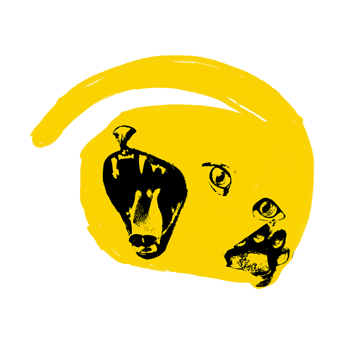 Gato