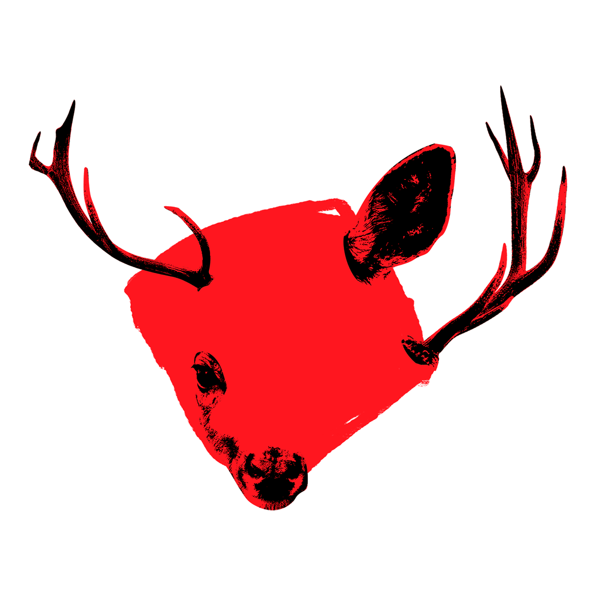 Veado