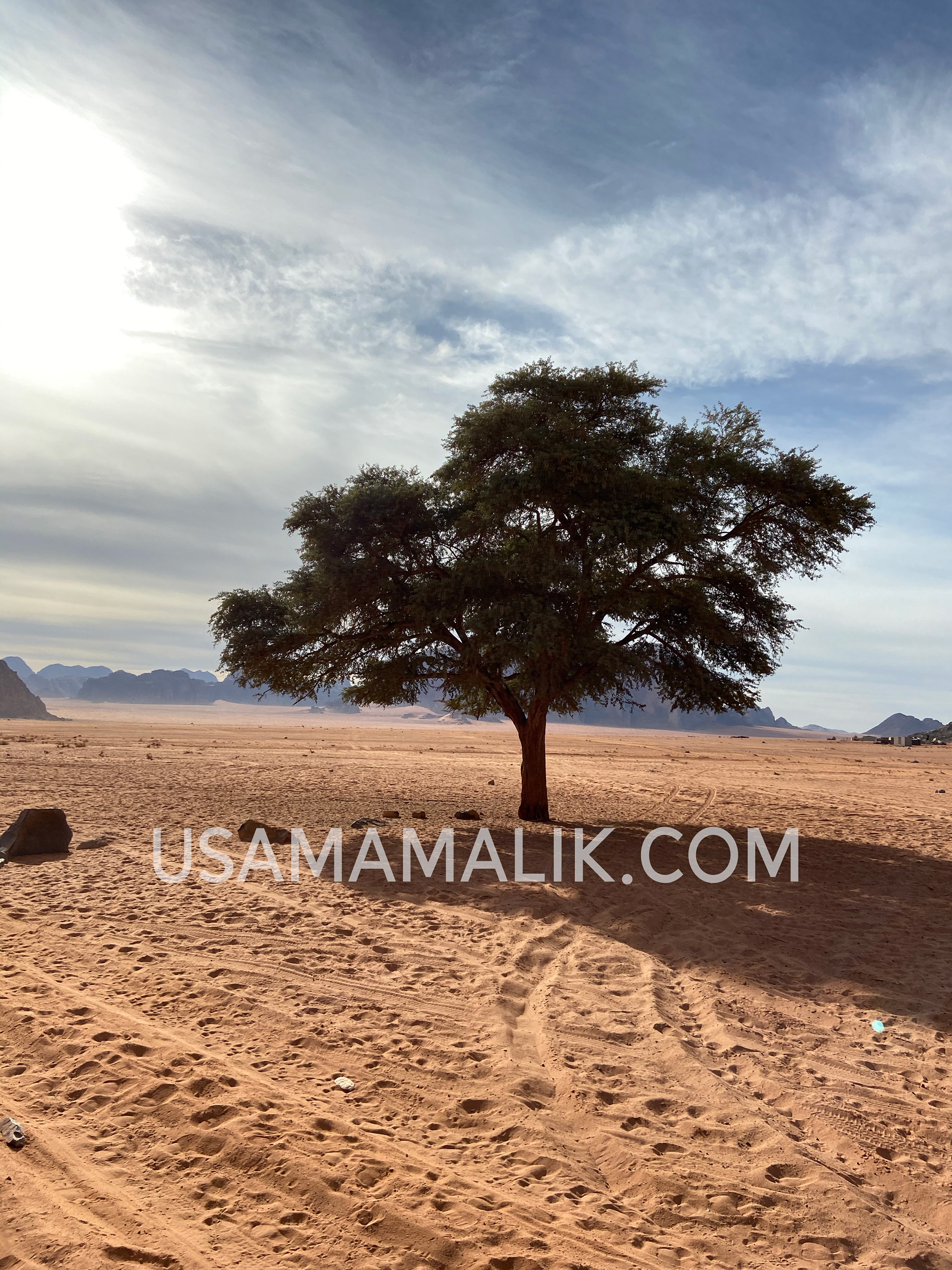 Desert Hope