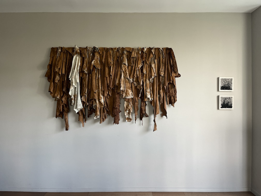 Cueros Colgantes, 2023. 110 x 140 x 7 cm