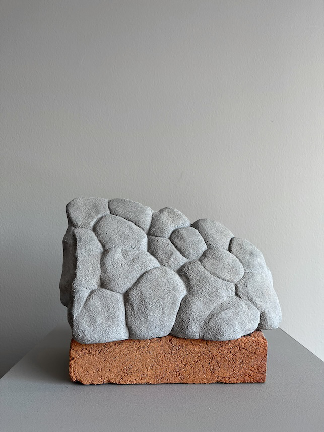 Piedras Vivas, 2020
