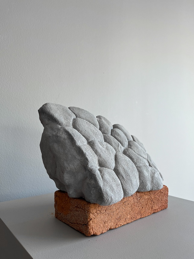 Piedras Vivas, 2020