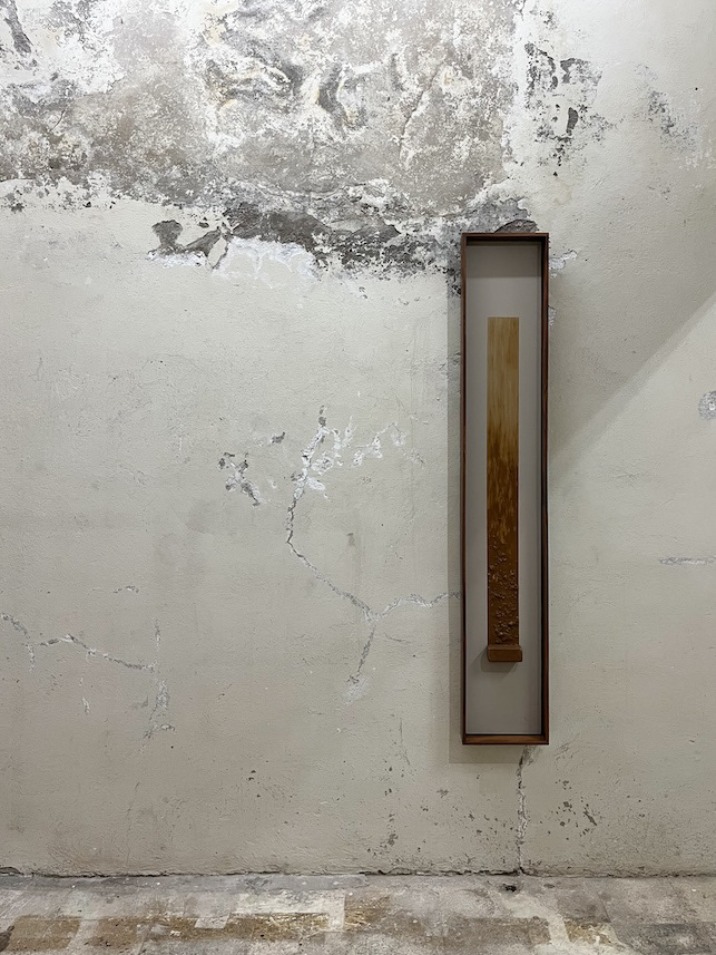 Evolución del Rectángulo, 2021. 162 x 27 x 5 cm