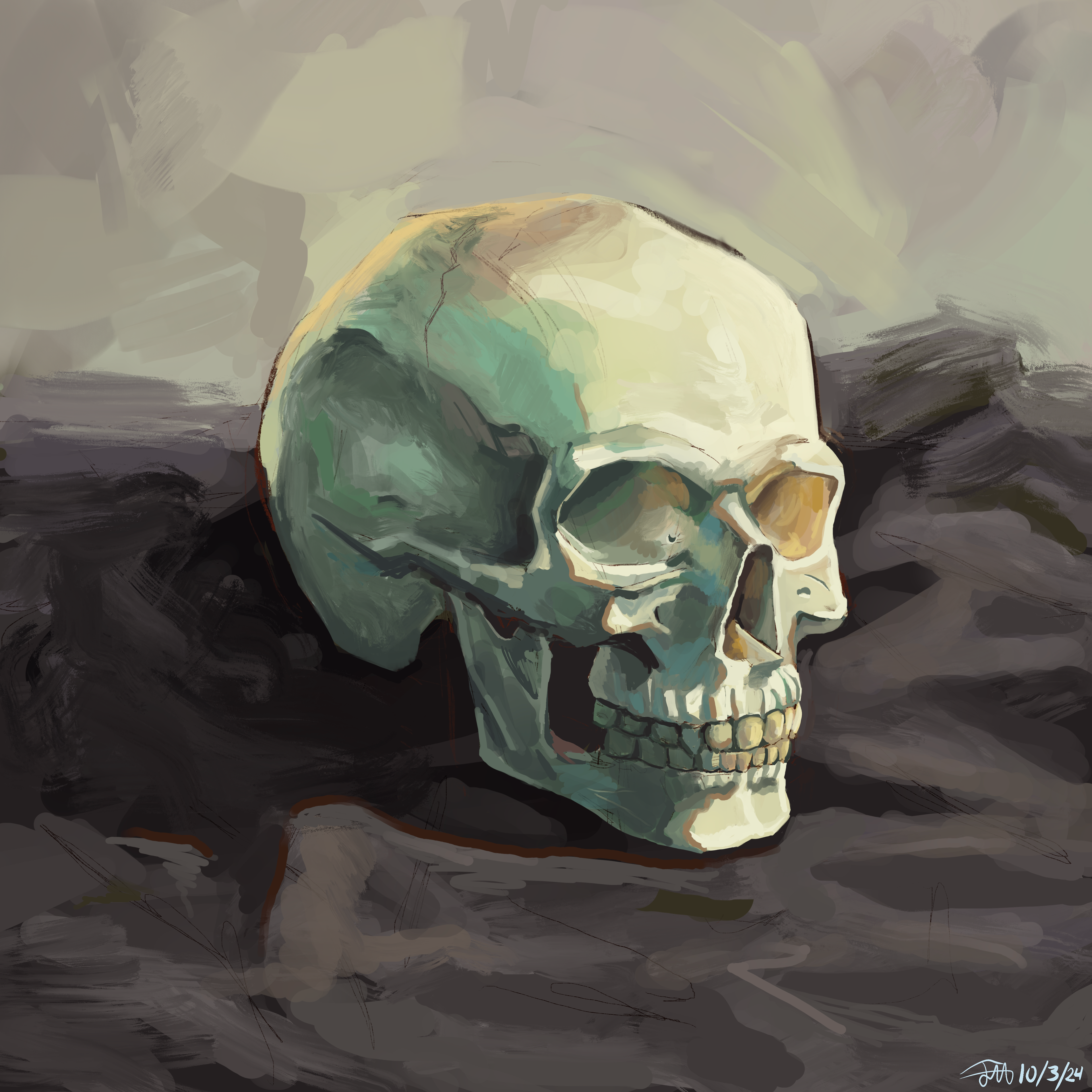 Skull Study
