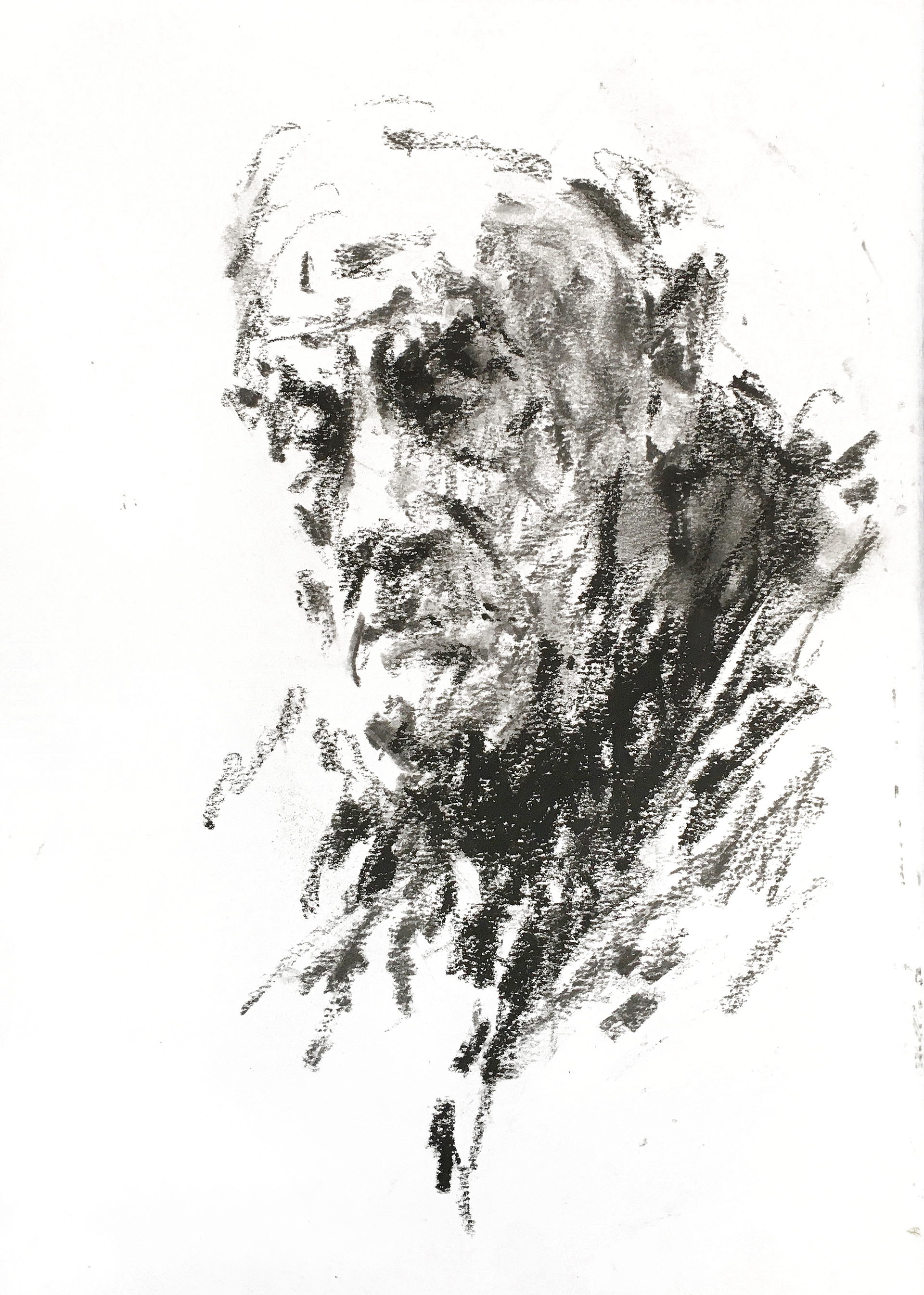 Kul på papir, 35x25 cm