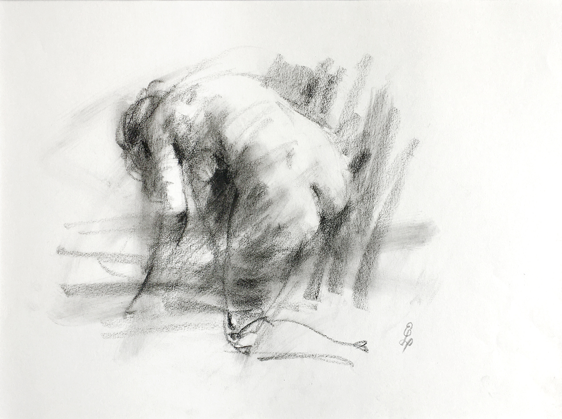 Kul på papir, 29,7x 42 cm