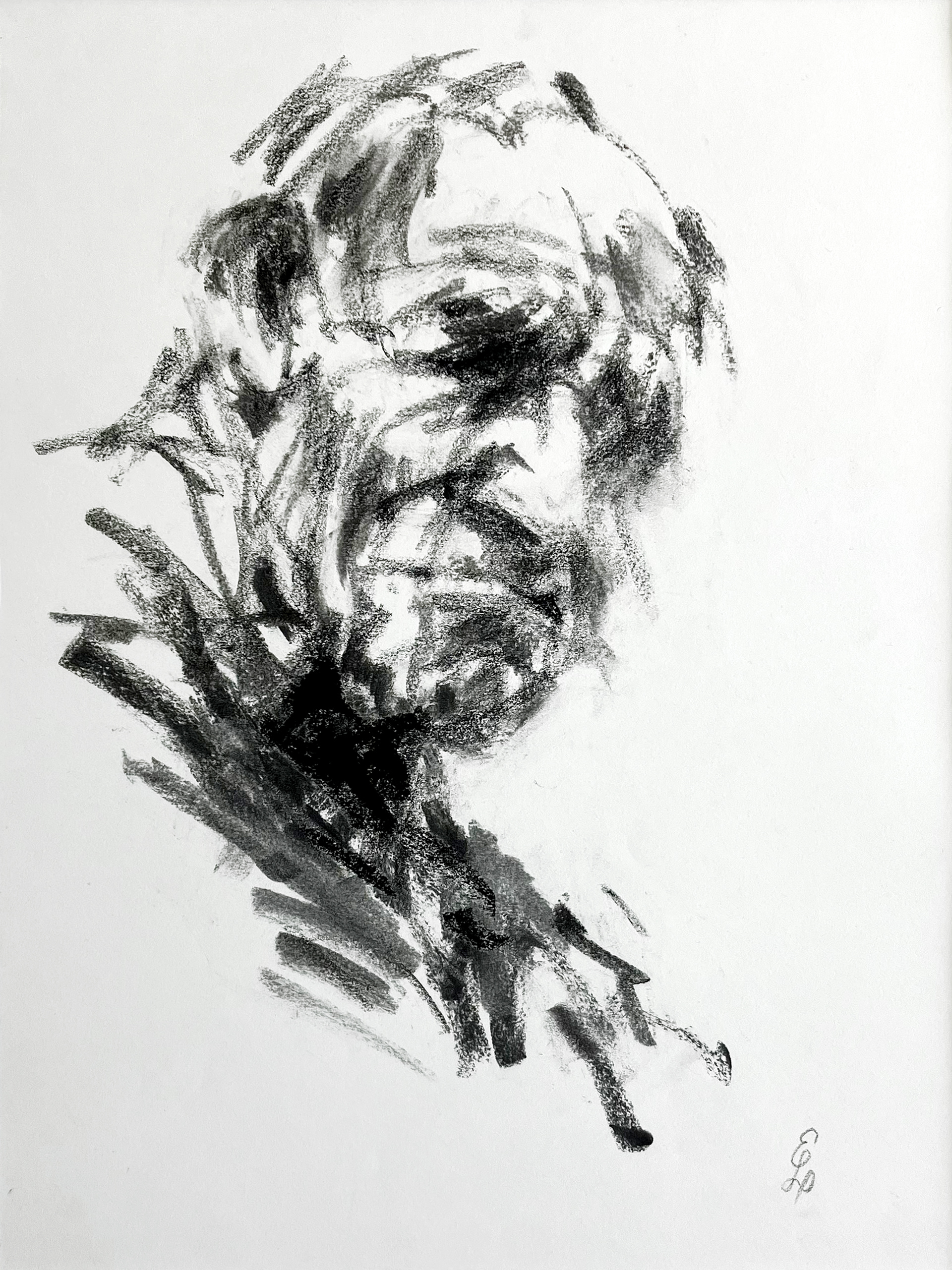 Kul på papir, 42x29,7 cm