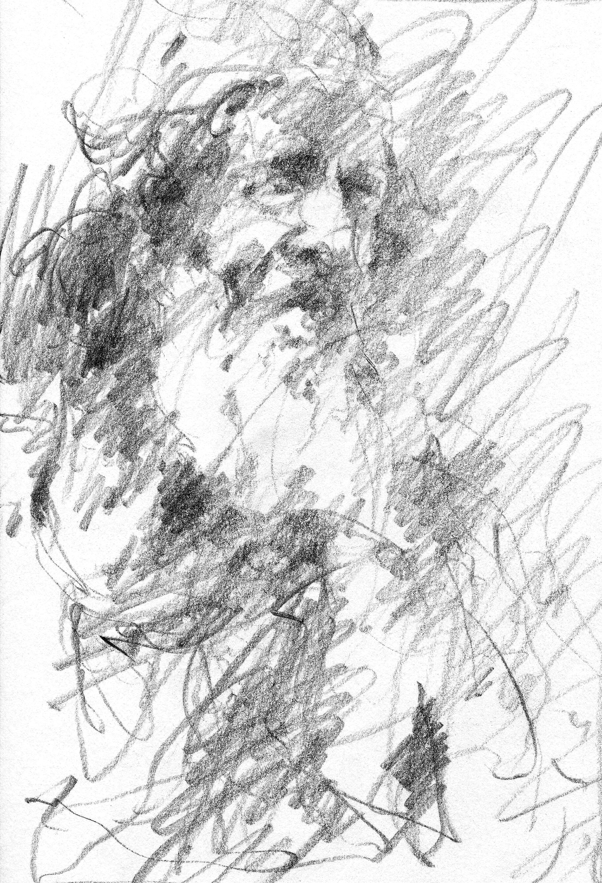 Blyant på papir, 29,7x21 cm