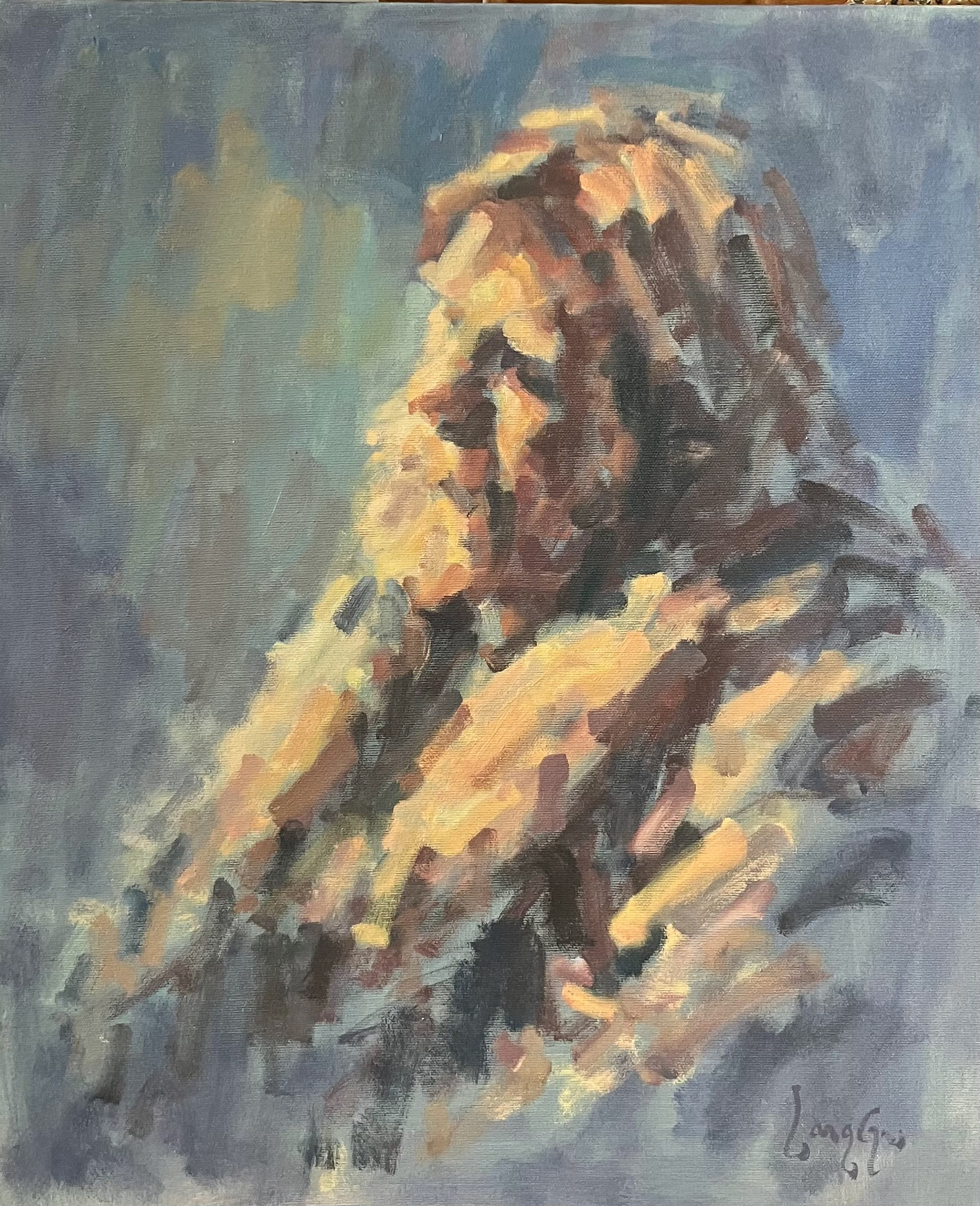 Fordybelse, 60x50 cm