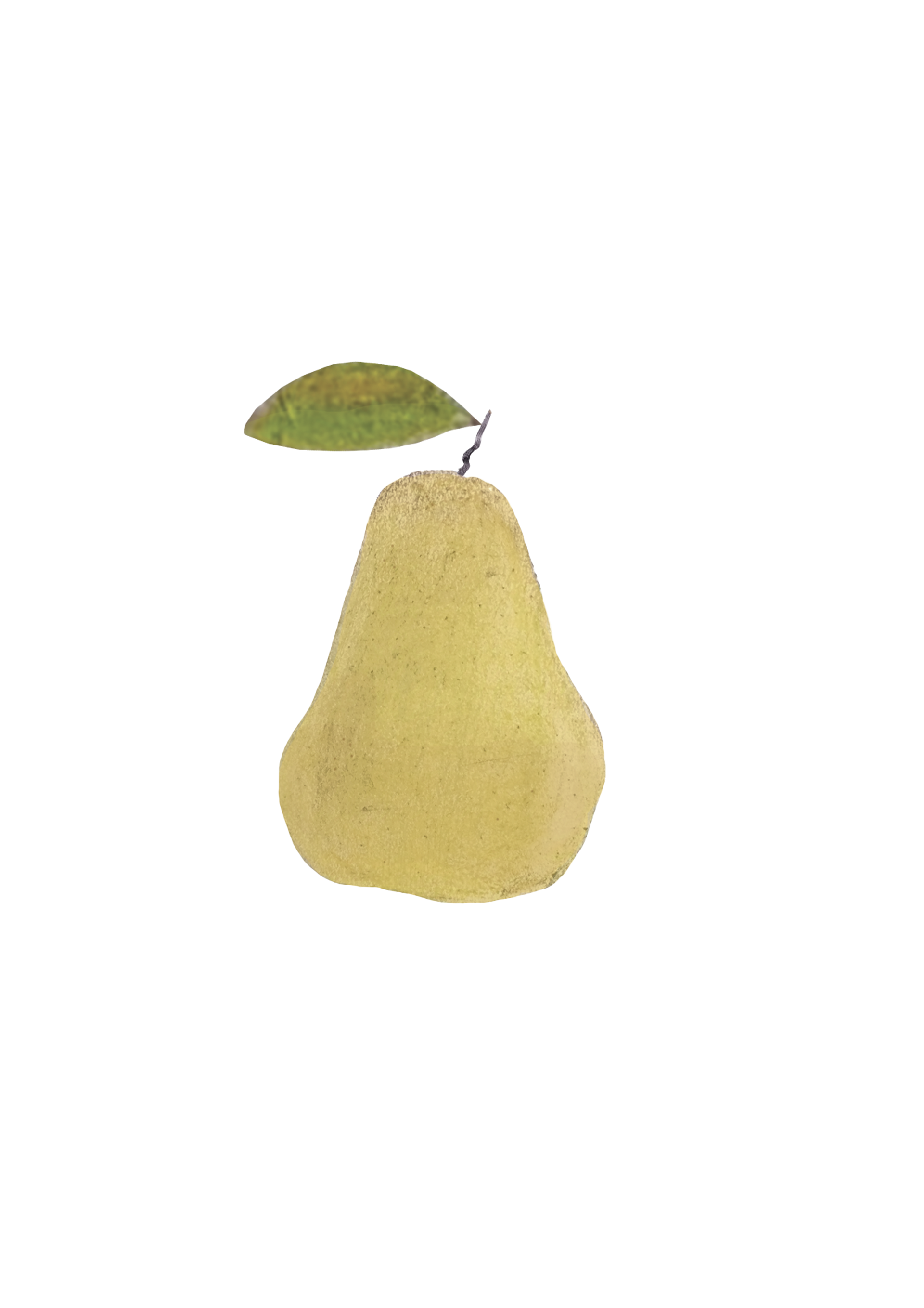 Poire Rocha