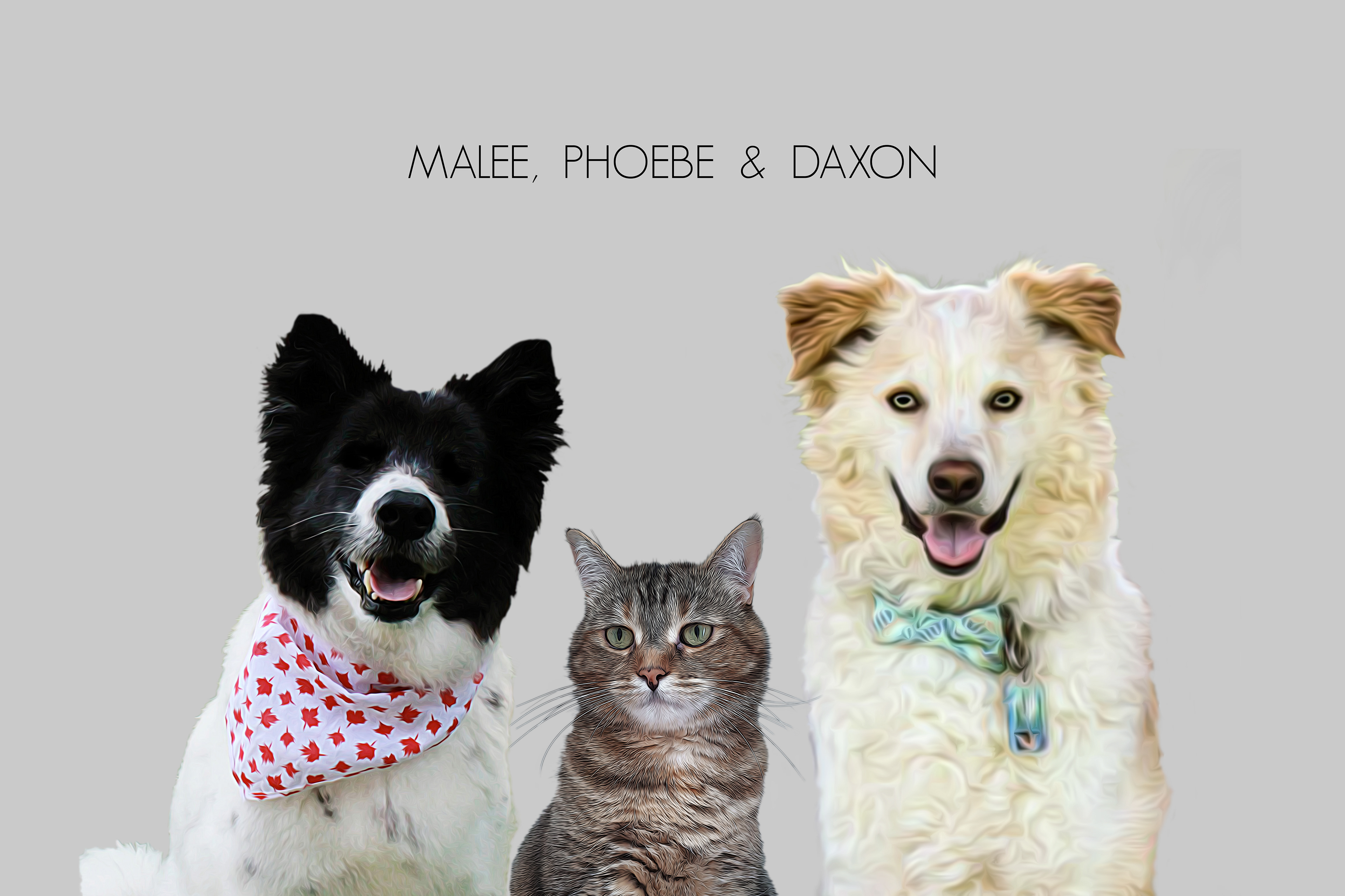 Digital painting of Pets